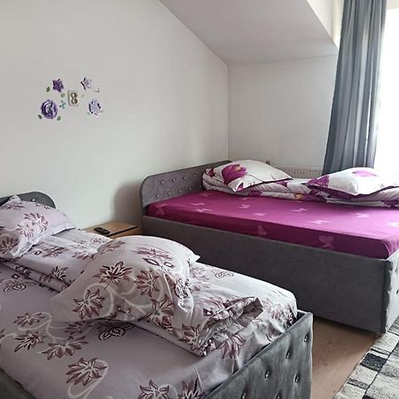 Hotel Casa Emilia Vatra Dornei Esterno foto